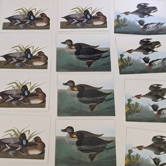 Audubon's Ducks Boxed Set Of Blank Note cards 5x7 Natl Gallery Of Art Set Of 14 - Picture 3 of 10